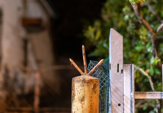 Emilia Romagna - Herbst 2019