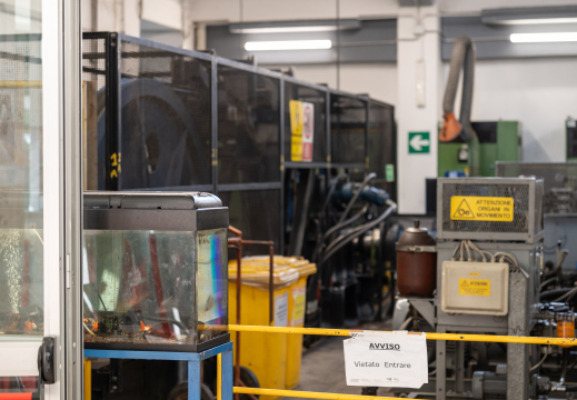 Vico Equense - Herbst 2024